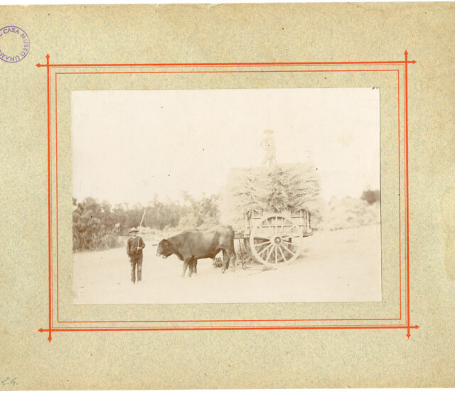 Fotografía Miguel de Unamuno